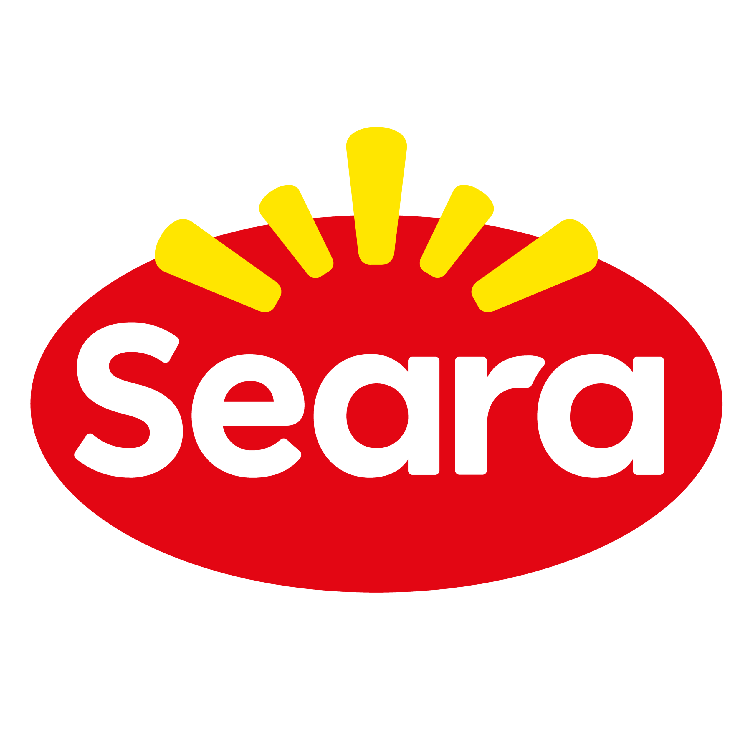 LOGO-SEARA